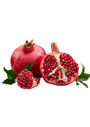 SPANISH POMMY SEASONAL