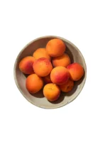 PP APRICOT