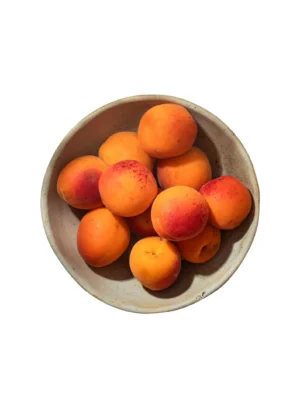 PP APRICOT