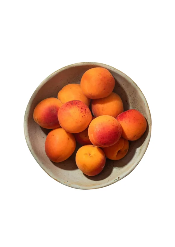 PP APRICOT