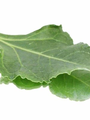 SEA BEET( WILD SPINACH)