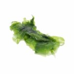 SEA LETTUCE (SEAWEED)