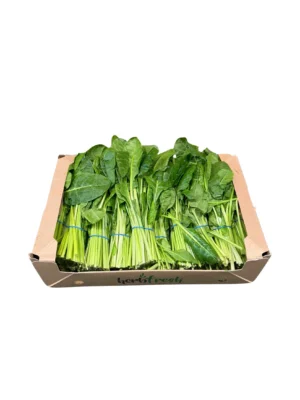 BUNCH SPINACH