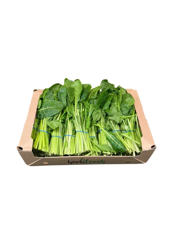 BUNCH SPINACH