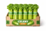 CELERY Box