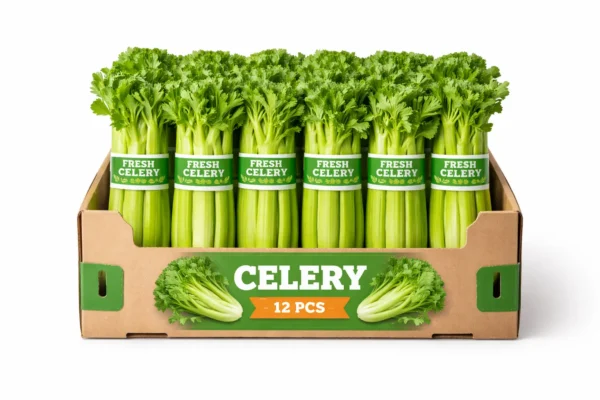 CELERY Box