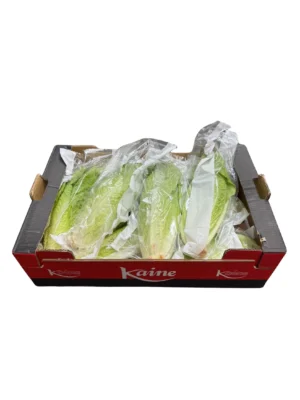 COS LETTUCE
