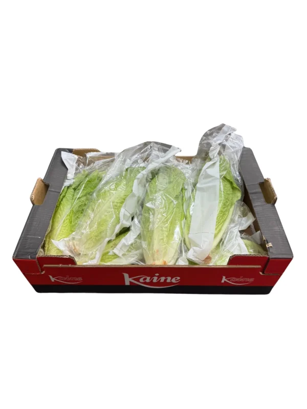 COS LETTUCE