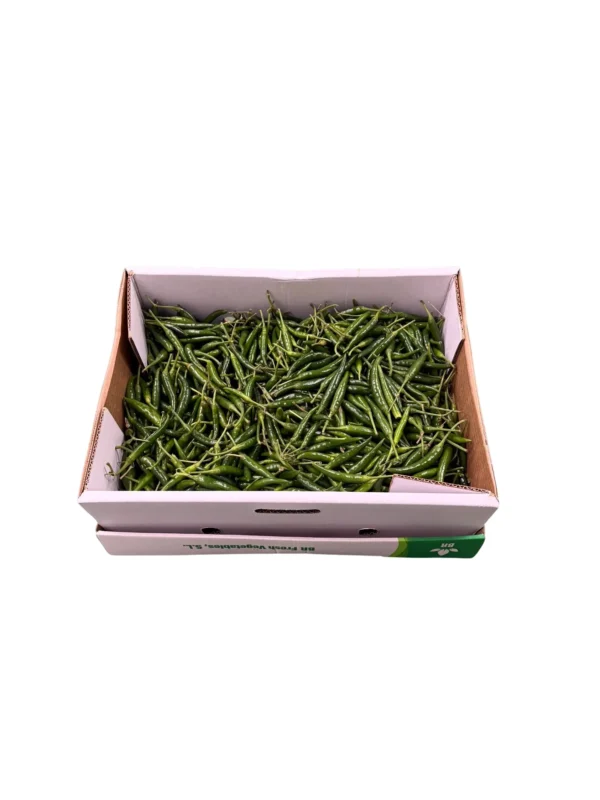 GREEN CHILLI BOX
