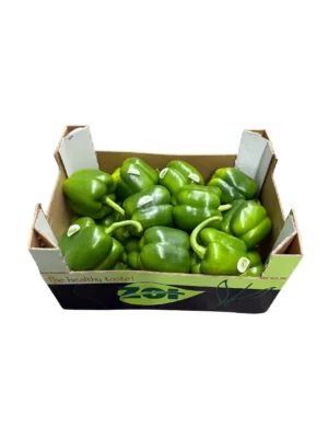 GREEN PEPPER