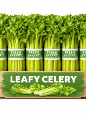 LEAFY CELERY