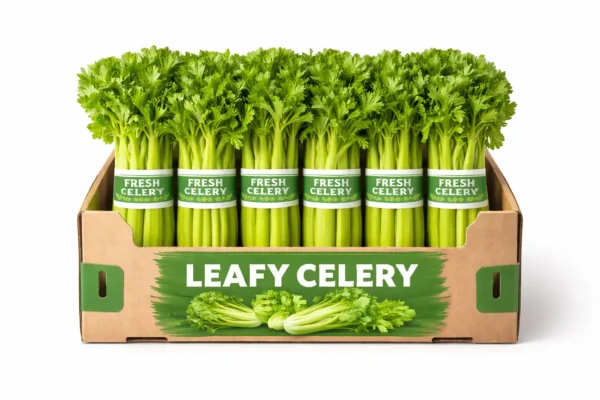 LEAFY CELERY