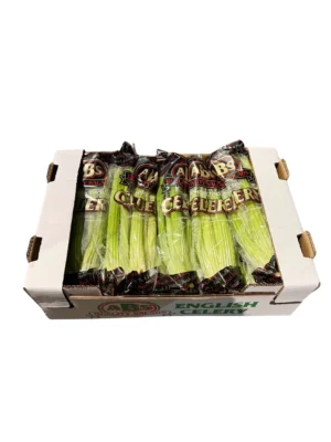 LEAFY CELERY