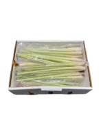 LEMON GRASS