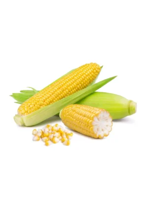 SWEETCORN