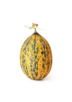 TURKISH MELON