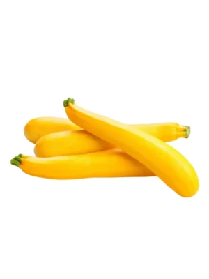 YELLOW COURGETTE