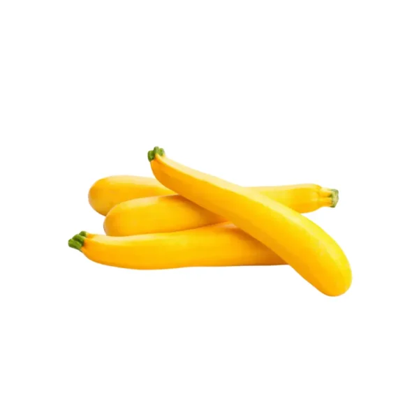 YELLOW COURGETTE