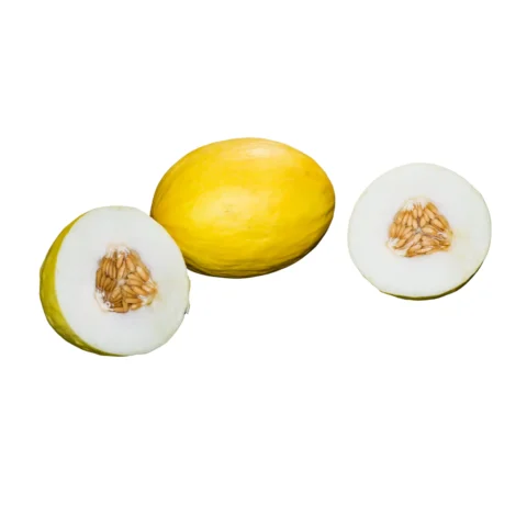 YELLOW MELON