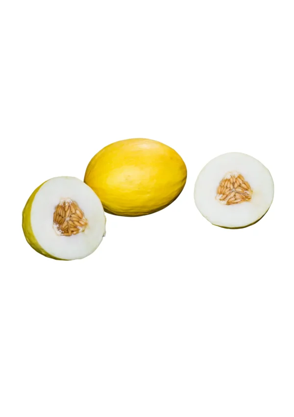YELLOW MELON