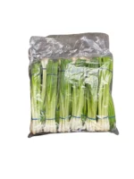 SPRING ONION SIZE 12