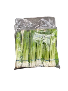 SPRING ONION SIZE 12