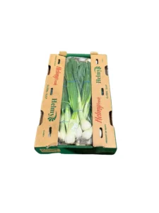 SPRING ONION SIZE 14