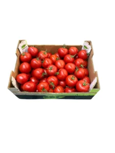 TOMATOES