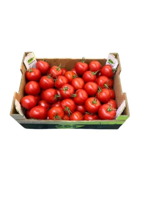 TOMATOES
