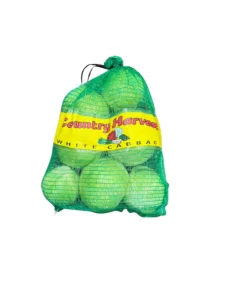 WHITE CABBAGE