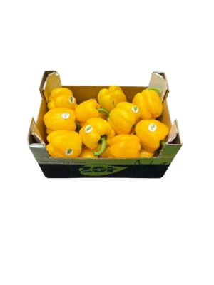 YELLOW PEPPER