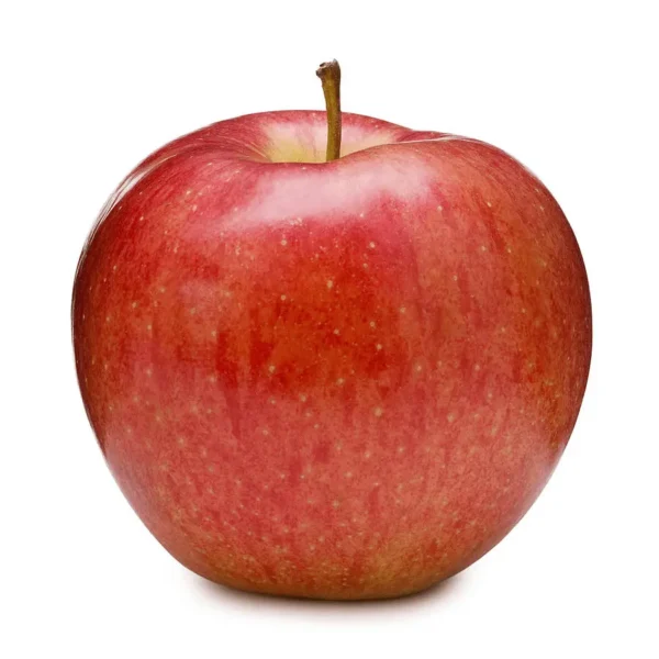 APPLE ROYAL GALA SINGLE PCS