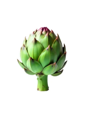 ARTICHOKE, SINGLE PCS