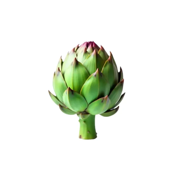 ARTICHOKE, SINGLE PCS