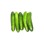 BABY CUCUMBER  5 PCS
