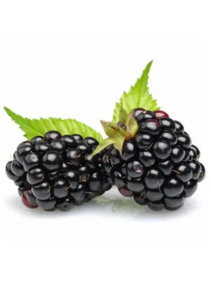 BLACKBERRIES [150 GRAM PUNNET]