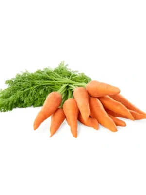 BUNCH CARROTS