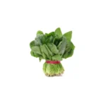 BUNCH SPINACH
