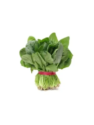 BUNCH SPINACH