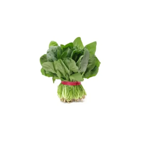 BUNCH SPINACH