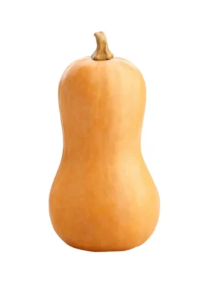 BUTTERNUT SQUASH, SINGLE PCS