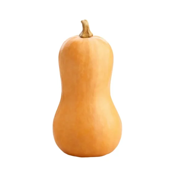 BUTTERNUT SQUASH, SINGLE PCS