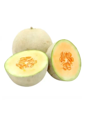 CANTALOUPE MELON BY PCS