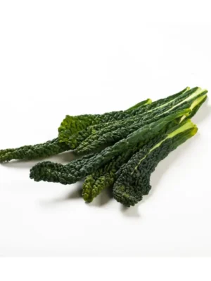 CAVOLO NERO, SINGLE PACK