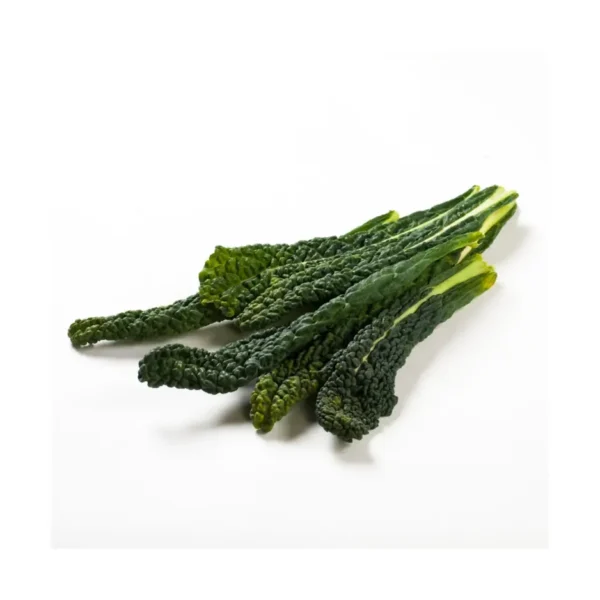 CAVOLO NERO, SINGLE PACK
