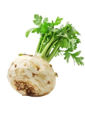 CELERIAC, SINGLE PCS