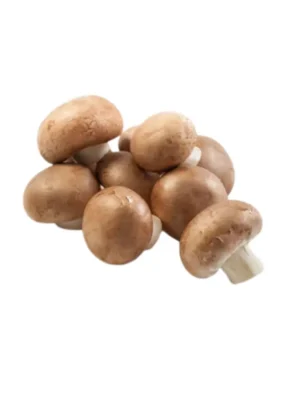 CHESTNUT MUSHROOM, 100 GRAM