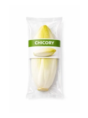CHICORY, SINGLE PCS