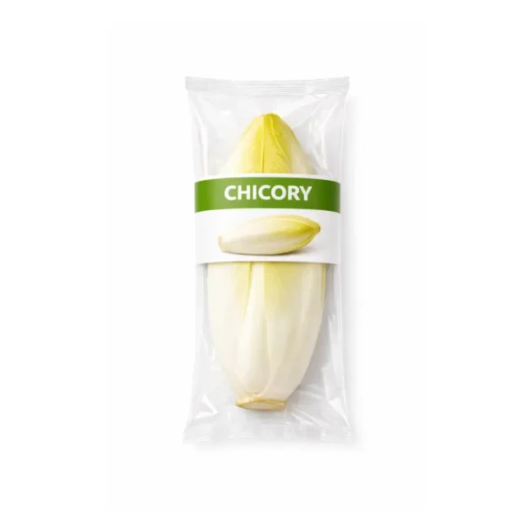 CHICORY, SINGLE PCS