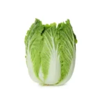 CHINESE CABBAGE, SINGLE PCS